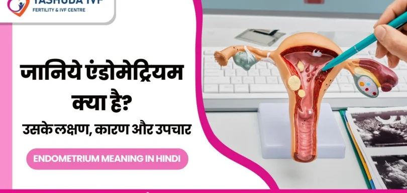 endometrium-meaning-in-hindi -एंडोमेट्रियम-का-अर्थ-हिंदी-मे