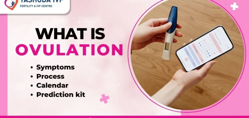 what-is-ovulation-and-how-to-navigate-it-with-yashoda-ivf