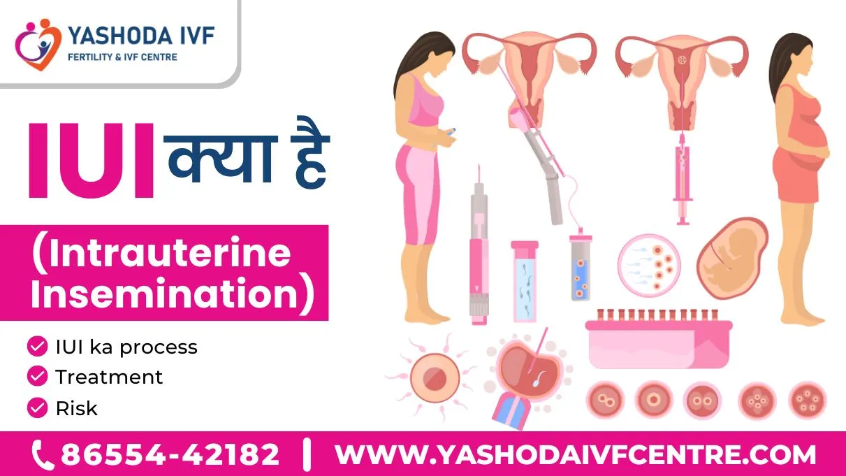iui-process-in-hindi