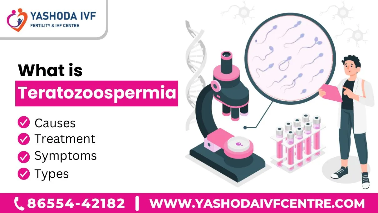 what-is-teratozoospermia