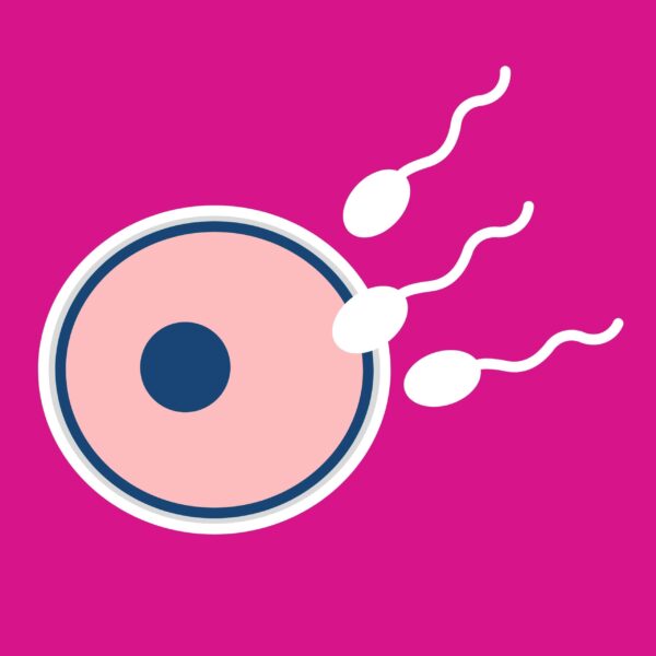 ovulation-scaled.jpg